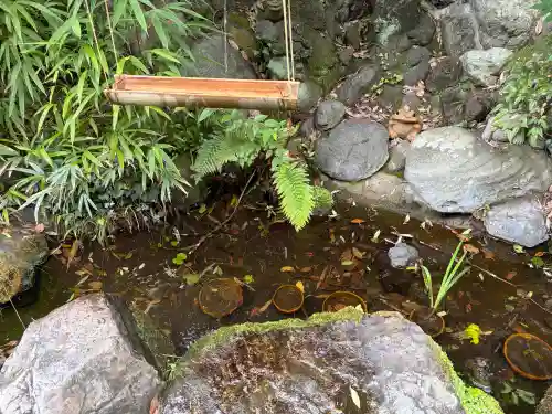 白笹稲荷神社(神奈川県)