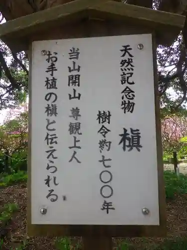 安養院　(田代寺）の歴史