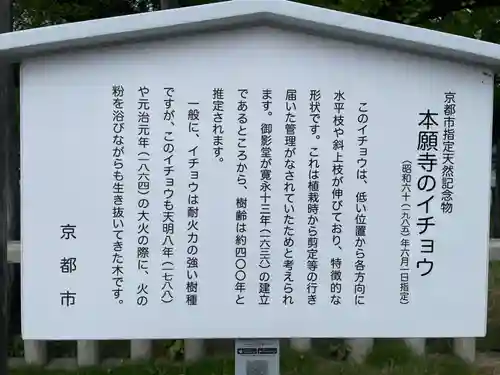 本願寺（西本願寺）(京都府)