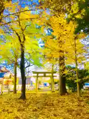 岡見八坂神社の自然