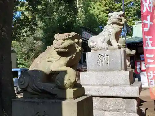 下高井戸八幡神社の狛犬