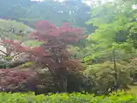 圓満院(和歌山県)