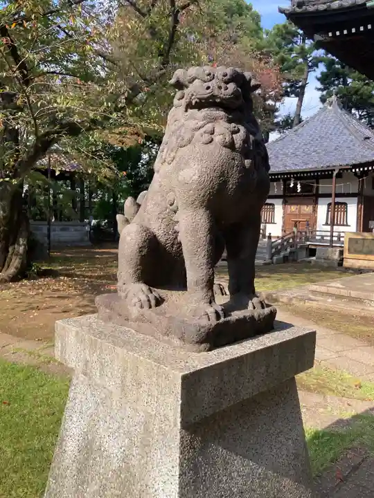 観音寺(世田谷山観音寺)の狛犬