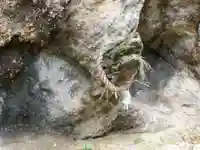 高泊神社(山口県)