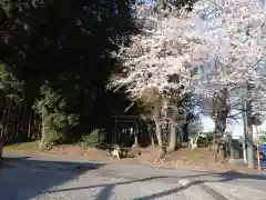 神明社(千葉県)