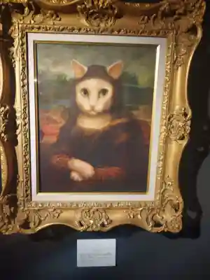 猫猫寺(京都府)