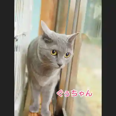 天王山 安楽寺(福井県)