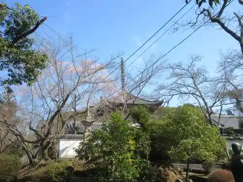 根来寺(和歌山県)