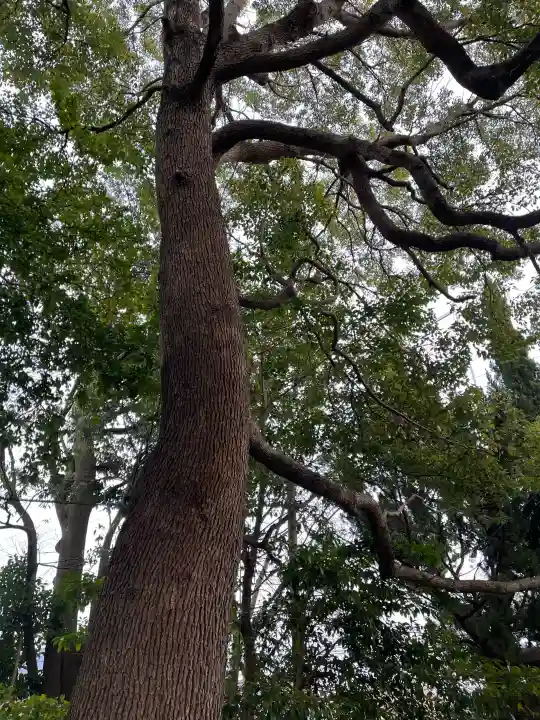 今宿神明社の{uncategorized: "未分類", other: "その他", undefined: "問題あり", building: "その他建物", grave: "お墓", sacred_gate: "鳥居", guardian: "狛犬", statue: "像", buddha: "仏像", history: "歴史", nature: "自然", garden: "庭園", animal: "動物", pagoda: "塔", temizu: "手水舎", mountain_gate: "山門・神門", sanctuary: "本殿・本堂", subordinate: "末社・摂社", art: "芸術", scenery: "景色", jizo: "地蔵", ema: "絵馬", goshuin: "御朱印", omikuji: "おみくじ", items: "授与品その他", amulet: "お守り", goshuincho: "御朱印帳", eats: "食事", festival: "お祭り", votive_dance: "神楽", shichigosan: "七五三参", wedding: "結婚式", experience: "体験その他", initially: "初詣", around: "周辺", anti_infection: "感染症対策"}