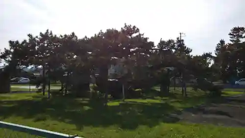 大井八幡神社の自然