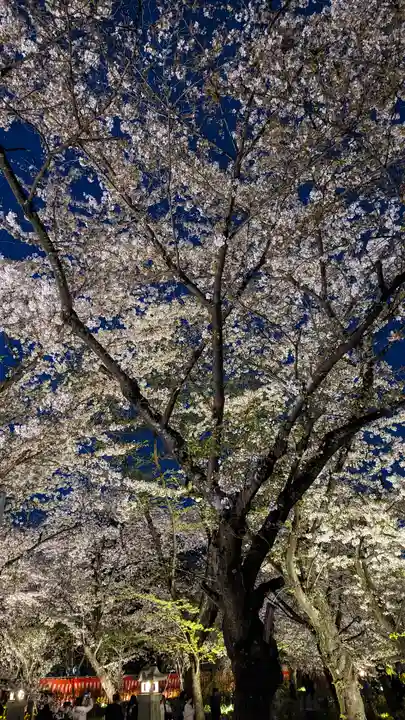 平野神社(京都府)