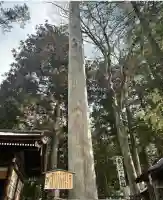 諏訪大社下社秋宮(長野県)