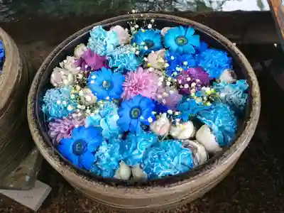 津島神社の手水舎