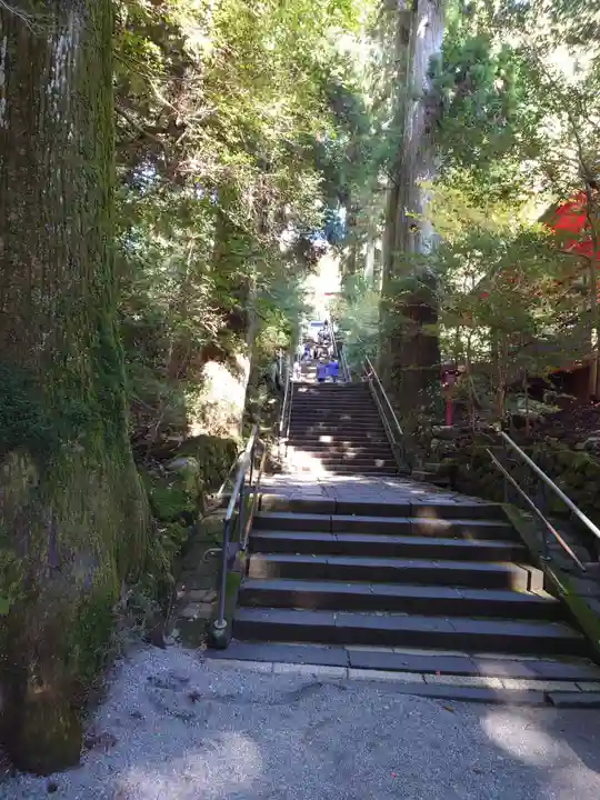 箱根神社のその他建物