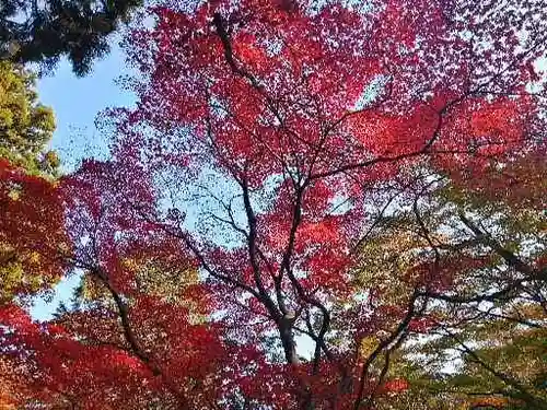 聖寳寺の庭園