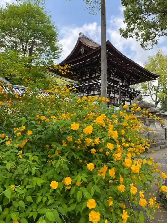 松尾大社の自然