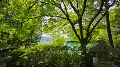 常陸国出雲大社(茨城県)