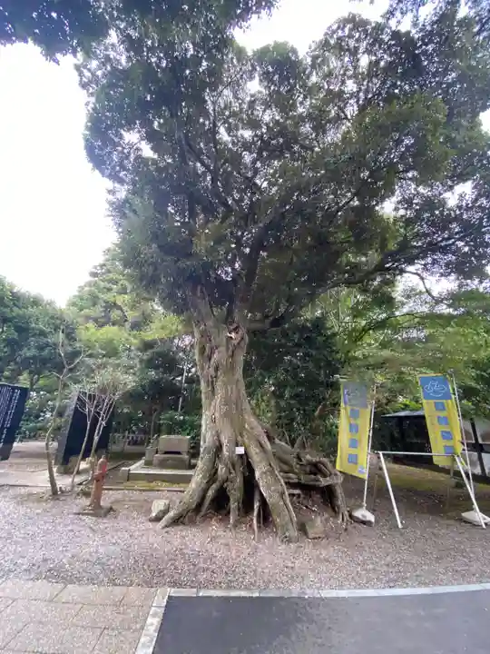 大洗磯前神社(茨城県)