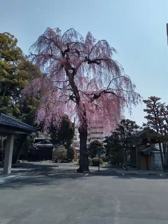 道仁寺(宮城県)
