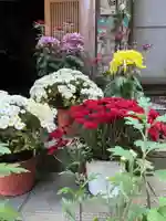 大宮温泉神社(栃木県)