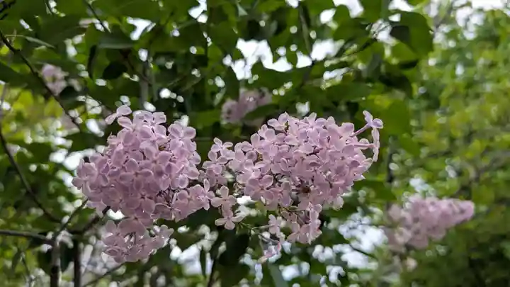 三吉神社の周辺