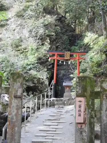 松尾大社の鳥居