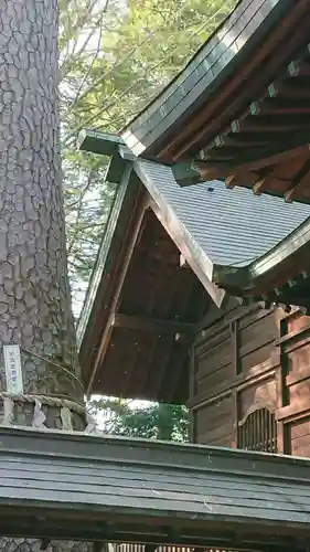 熊野神社の本殿・本堂