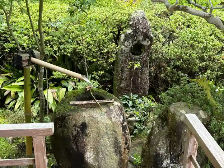 大池寺の{uncategorized: "未分類", other: "その他", undefined: "問題あり", building: "その他建物", grave: "お墓", sacred_gate: "鳥居", guardian: "狛犬", statue: "像", buddha: "仏像", history: "歴史", nature: "自然", garden: "庭園", animal: "動物", pagoda: "塔", temizu: "手水舎", mountain_gate: "山門・神門", sanctuary: "本殿・本堂", subordinate: "末社・摂社", art: "芸術", scenery: "景色", jizo: "地蔵", ema: "絵馬", goshuin: "御朱印", omikuji: "おみくじ", items: "授与品その他", amulet: "お守り", goshuincho: "御朱印帳", eats: "食事", festival: "お祭り", votive_dance: "神楽", shichigosan: "七五三参", wedding: "結婚式", experience: "体験その他", initially: "初詣", around: "周辺", anti_infection: "感染症対策"}