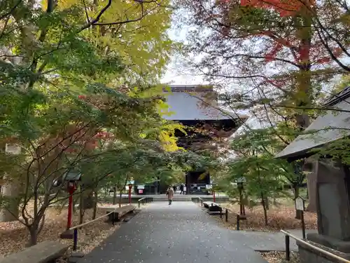 淨眞寺(東京都)