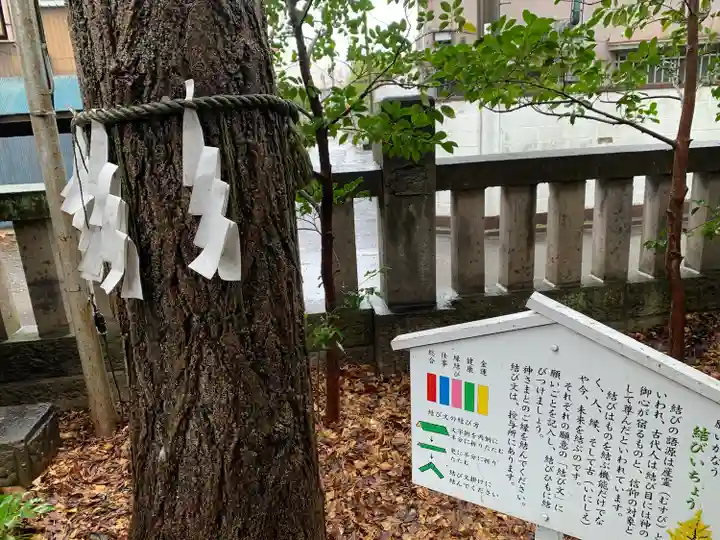 行田八幡神社の自然