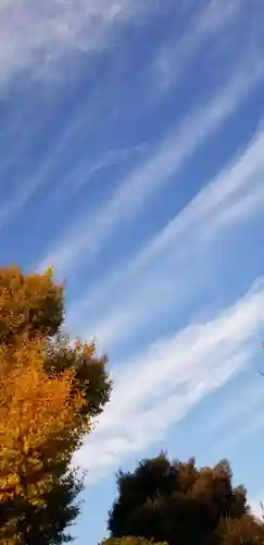 青龍神社の自然