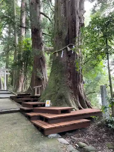 白山比咩神社(石川県)