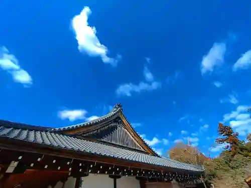 大覚寺(京都府)