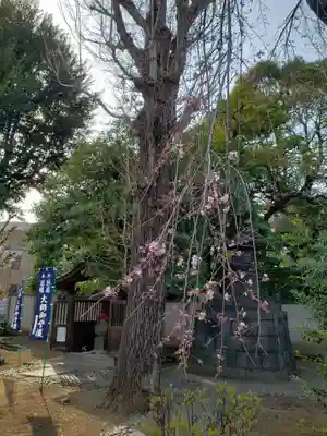 輪王寺両大師堂(寛永寺輪王殿)(東京都)
