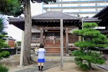 海音寺の本殿・本堂