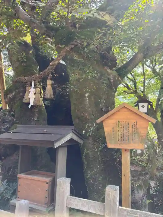 彌榮神社(島根県)