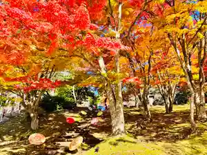 土津神社|こどもと出世の神さま(福島県)(2025年11月06日(木) 11時26分10秒投稿)