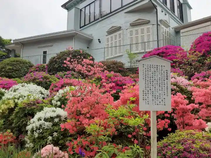 根津神社(東京都)