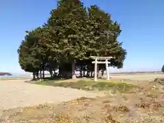 聖徳太子神社(栃木県)