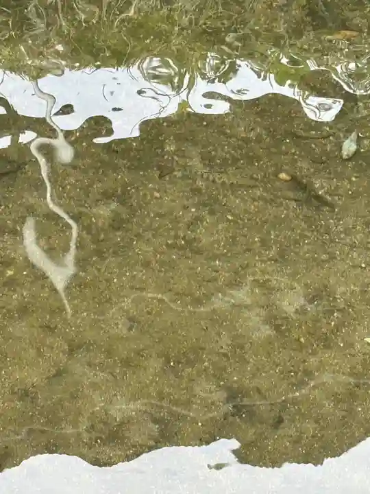 丸池神社(山形県)