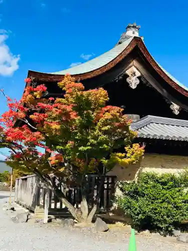 天龍寺(京都府)