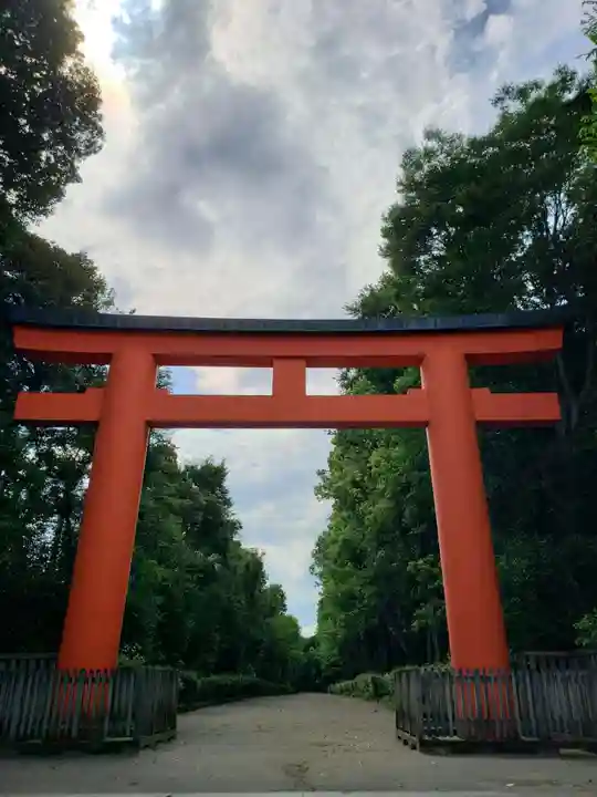 井草八幡宮の鳥居