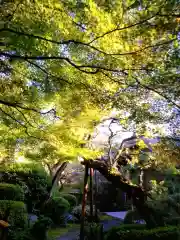 大正寺(東京都)