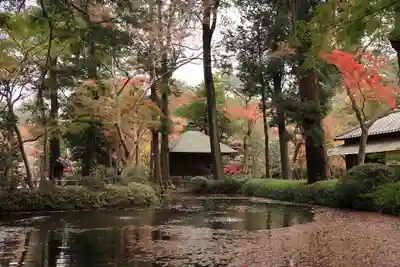 平林寺(埼玉県)