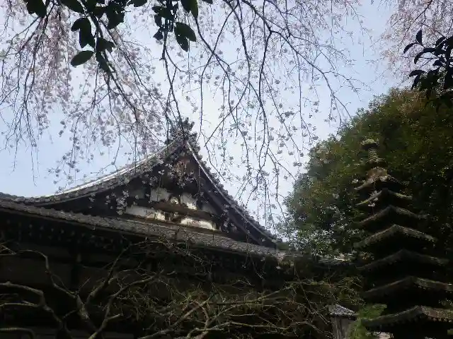 安國論寺(安国論寺)の本殿・本堂
