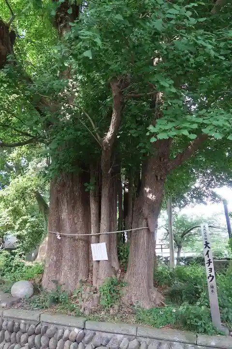 豊積神社(静岡県)