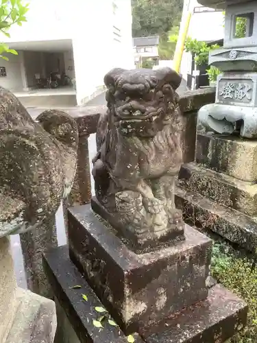 多賀神社（多賀町）の狛犬