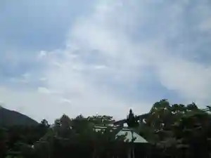 屋久島大社の自然(2023年07月28日(金) 14時41分43秒投稿)