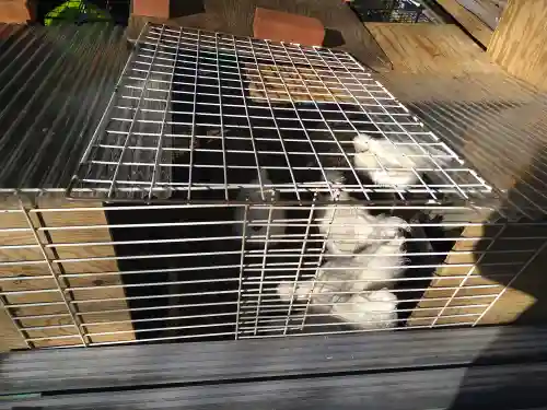 榮久山大法寺(東京都)