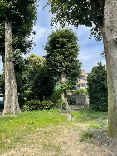 大神神社（花池）の自然